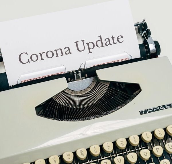 blog traffic meta tags